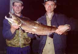 ������� � �����